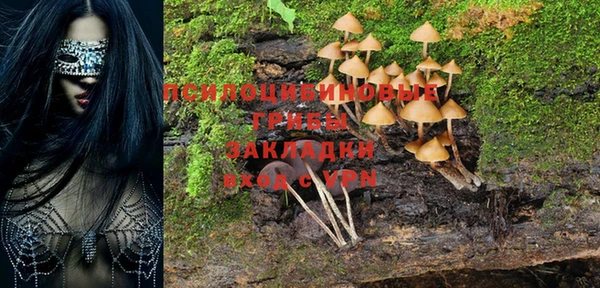 mdpv Покачи